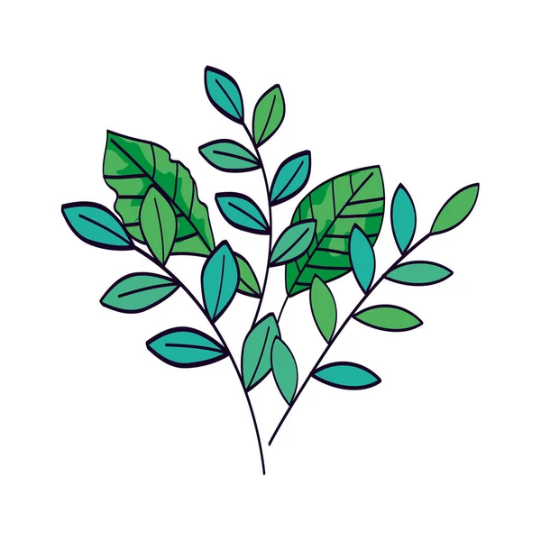 葉に天然の孤立したアイコンを持つ枝 — ストックベクタ