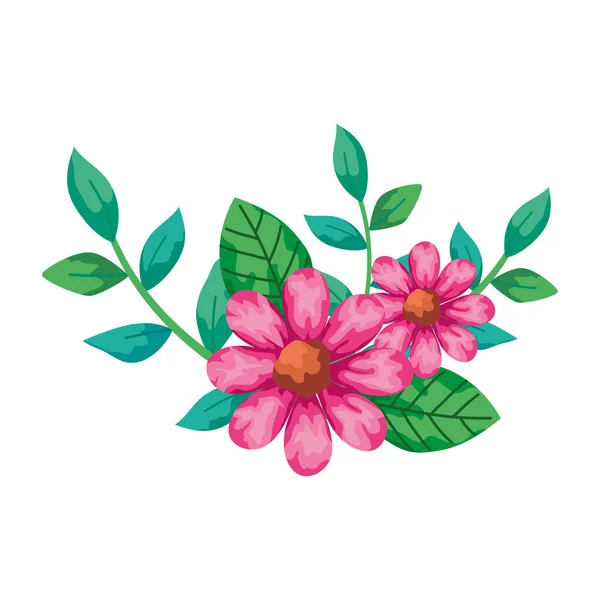 Lindo flores rosa con ramas y hojas icono aislado — Archivo Imágenes Vectoriales