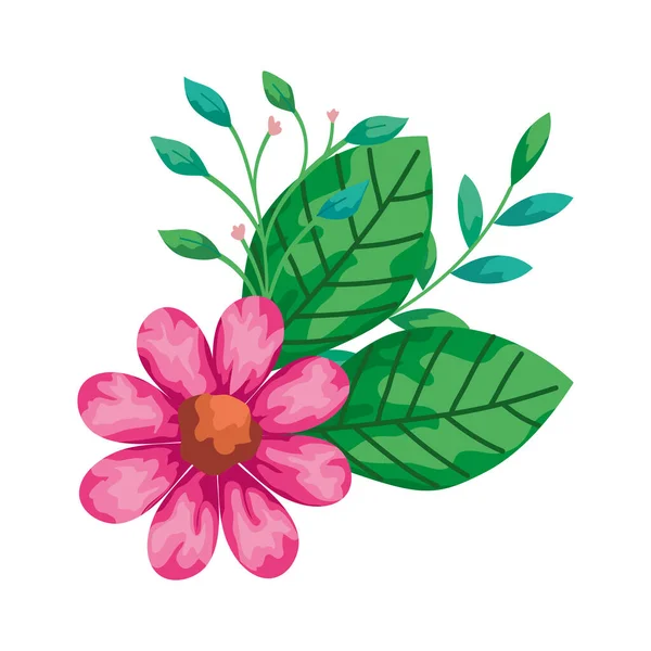Linda flor rosa con ramas y hojas icono aislado — Vector de stock