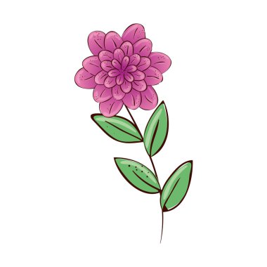 Dalları ve yaprakları olan şirin bir çiçek.