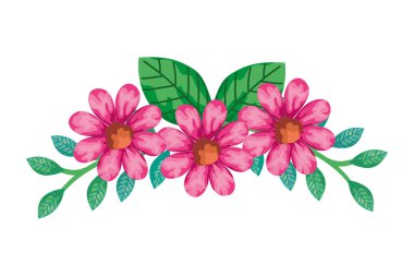 decoration of cute flowers pink color with branches and leafs