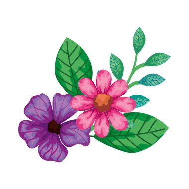 cute flowers pink and purple color with leafs