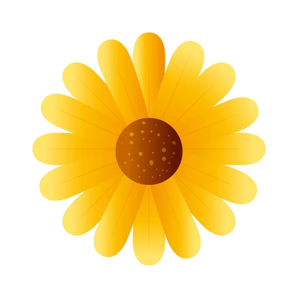 Cute flower yellow color isolated icon — Stock Vector