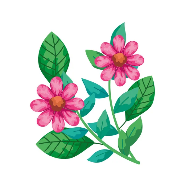Söta blommor rosa med grenar och blad isolerade ikon — Stock vektor