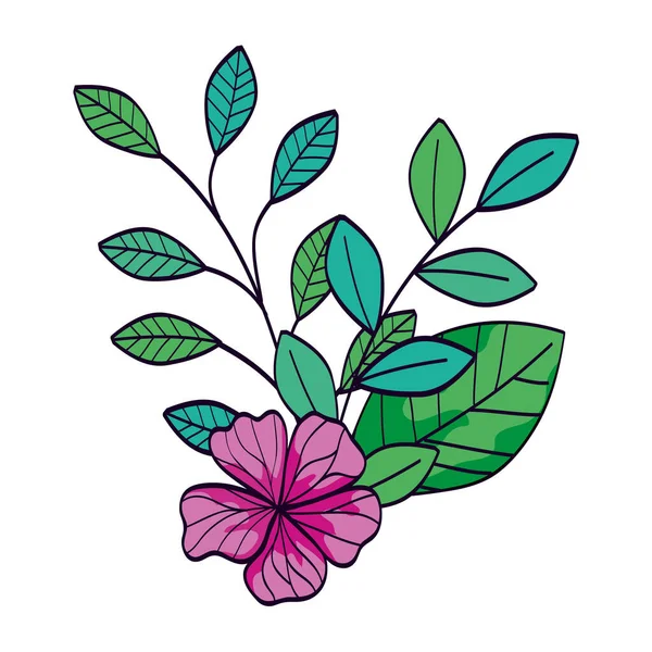 Cor roxa flor bonito com ramos e folhas —  Vetores de Stock