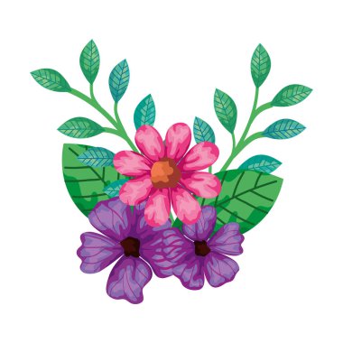 cute flowers pink and purple color with leafs
