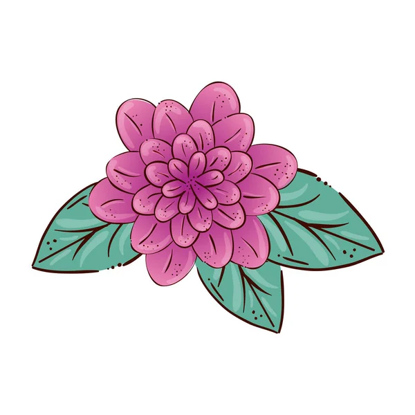 Niedliche Blume lila Farbe mit Blättern Naturalien — Stockvektor