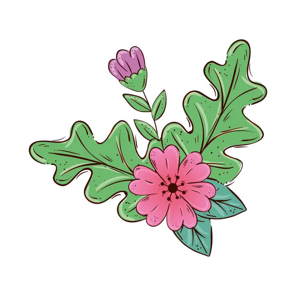 Cute flowers pink and purple with leafs — Stockový vektor