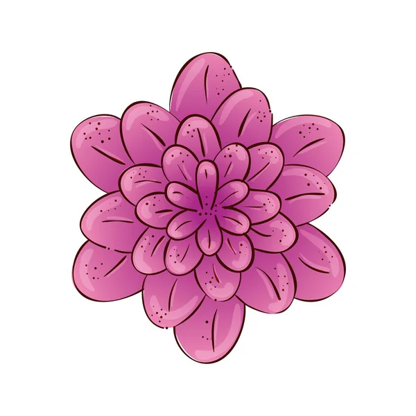 cute flower pink color isolated icon