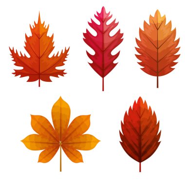 Sonbahar yaprakları doğaldır.