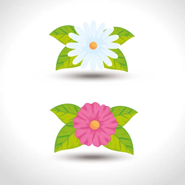 Lindas flores con hojas naturaleza — Vector de stock