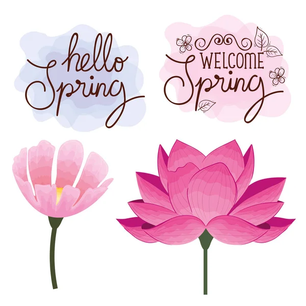 Set Karten von hallo Frühling mit Blumen-Dekoration — Stockvektor