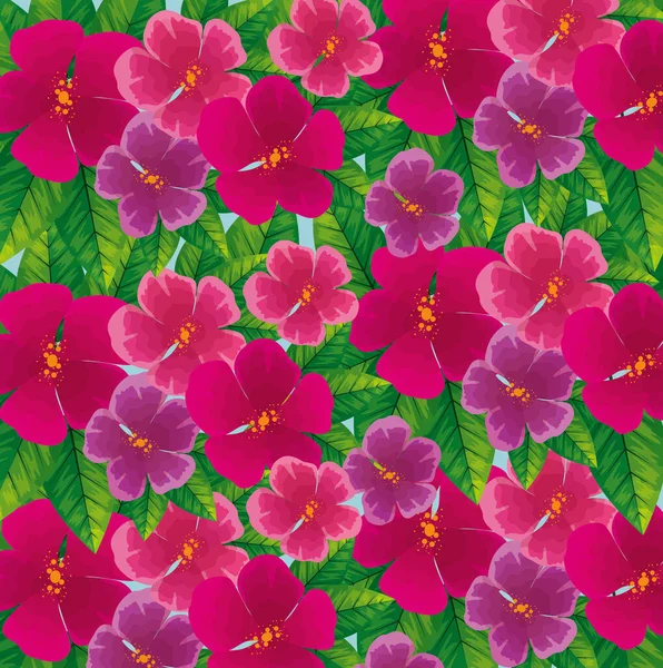 Fond de fleurs mignonnes couleur fuchsia avec des feuilles — Image vectorielle