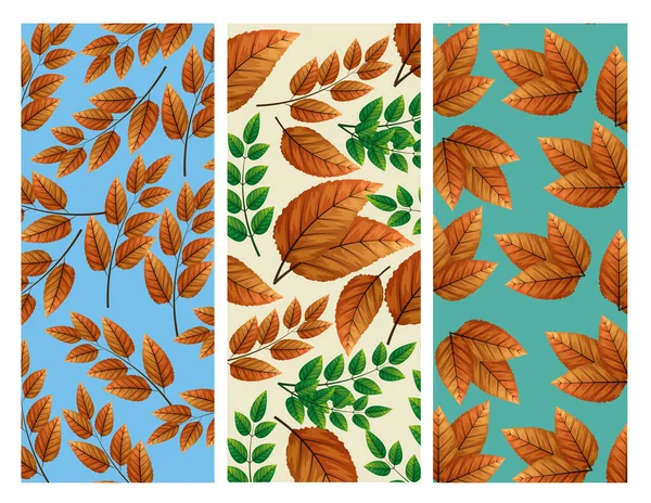 Набор фонов листовых осенних натуралов — стоковый вектор