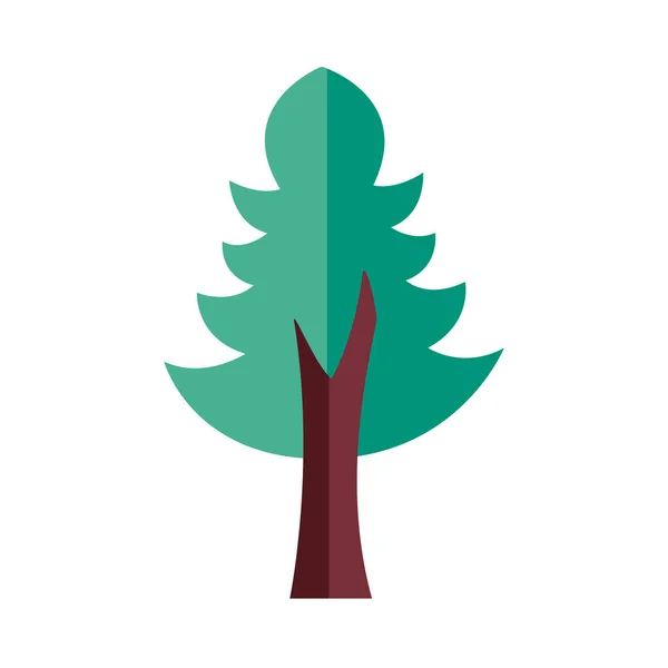 Tall träd växt skog platt stil ikon — Stock vektor