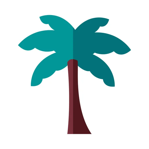 Palma drzewo rośliny las płaski styl ikona — Wektor stockowy