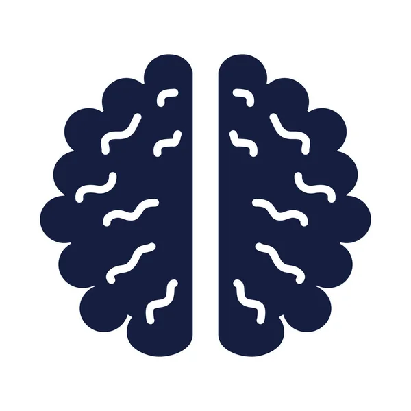 Силуэт мозга человека — стоковый вектор