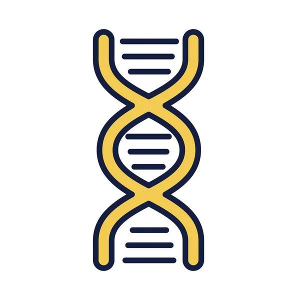 DNA molekuła struktura linia i wypełniać styl — Wektor stockowy