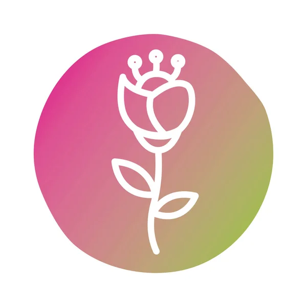 Jardin roses fleurs bloc style icône — Image vectorielle