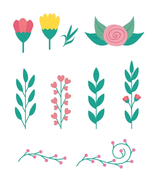Набор милых цветов и ветвей с листочками — стоковый вектор