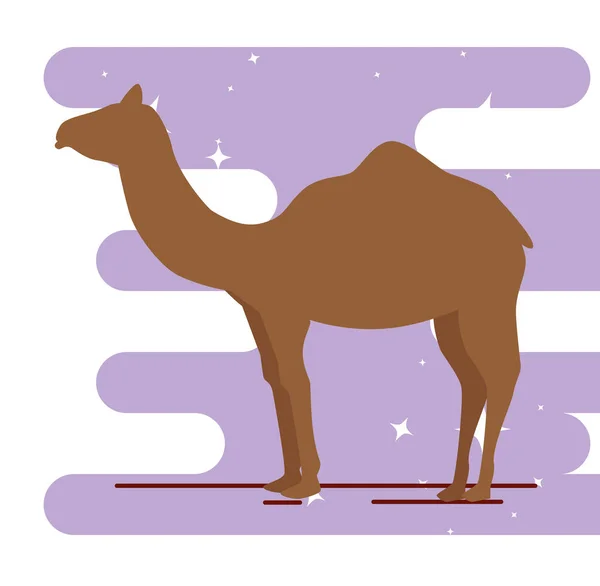 Silhouette camel animal isolated icon — Stock Vector