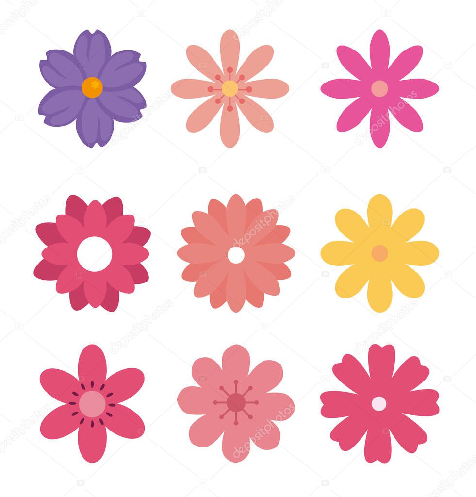 set of cute flowers naturals in white background