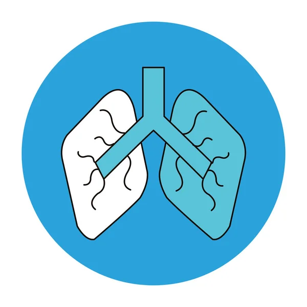 Órgano pulmonar humano aislado icono — Vector de stock
