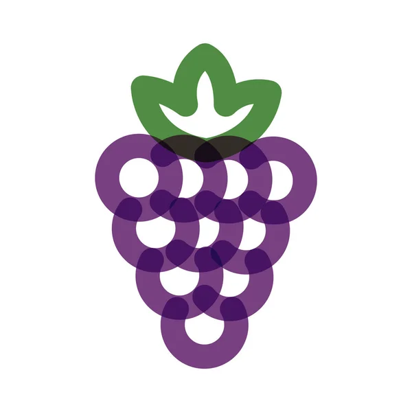 Grapes fresh fruit multiply line style icon - Stok Vektor