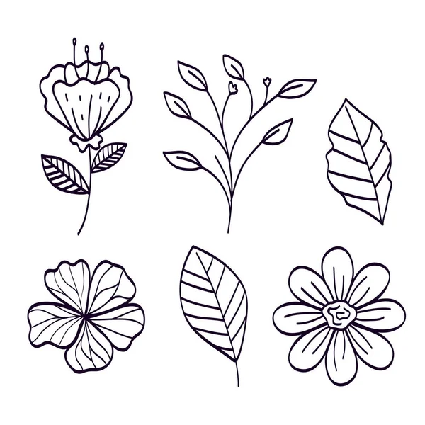 Set de ramuri cu frunze naturale — Vector de stoc