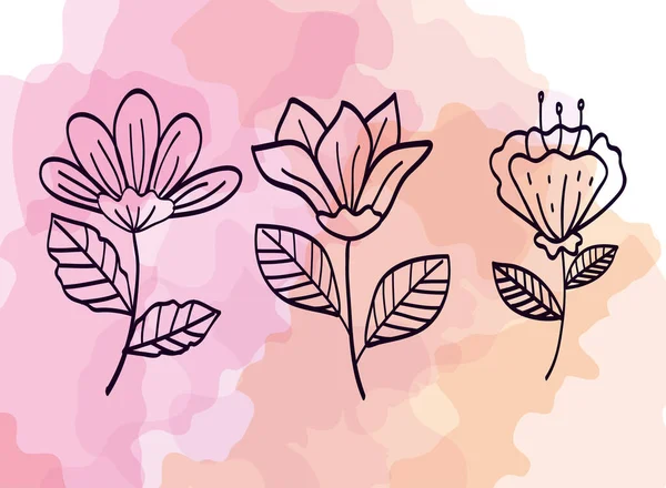 Uppsättning blommor med grenar och blad dekoration — Stock vektor