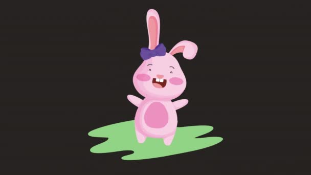 Happy easter animated card with cute rabbit — Stok video