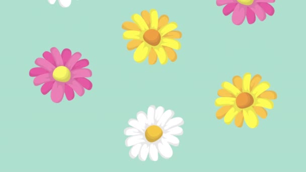 Frühling florale Animation saisonaler Muster — Stockvideo