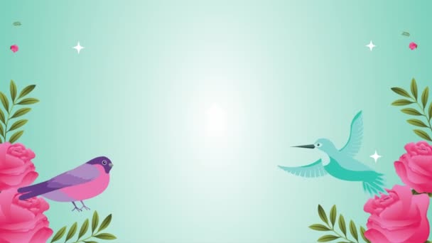 Beautifull flowers garden with birds scene — Stock Footage Beautifull flowers garden with birds scene Stock Video