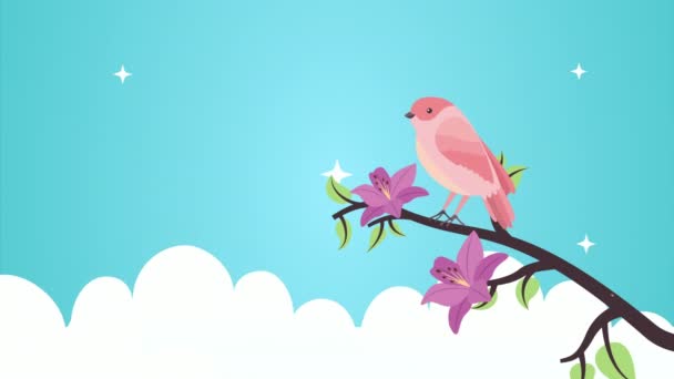 Bellas flores en rama con animación de aves — Vídeos de Stock