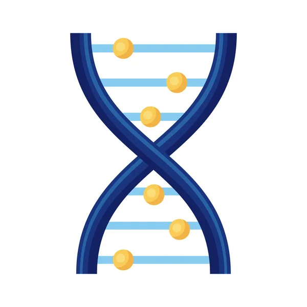 DNA molekuła medyczny symbol szczegółowy styl ikona — Wektor stockowy