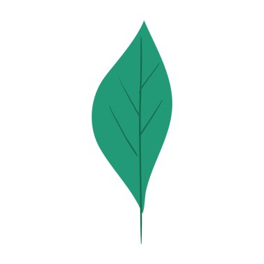 İzole edilmiş yaprak ikonu vektör tasarımı