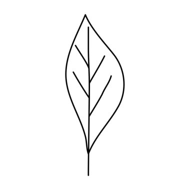 İzole edilmiş yaprak ikonu vektör tasarımı
