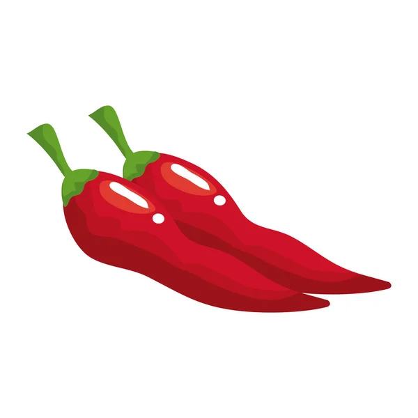 Conception vectorielle isolée de légumes chilis — Image vectorielle