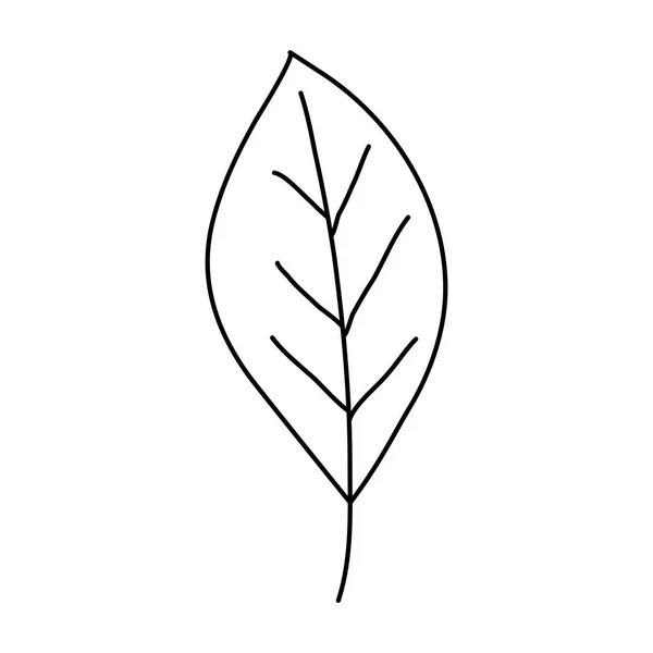 Изолированный листовой рисунок — стоковый вектор