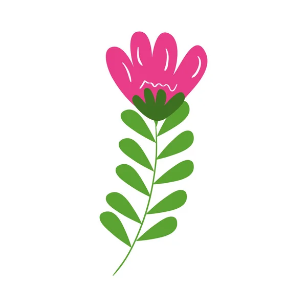 Isolerad blomma med blad vektor design — Stock vektor