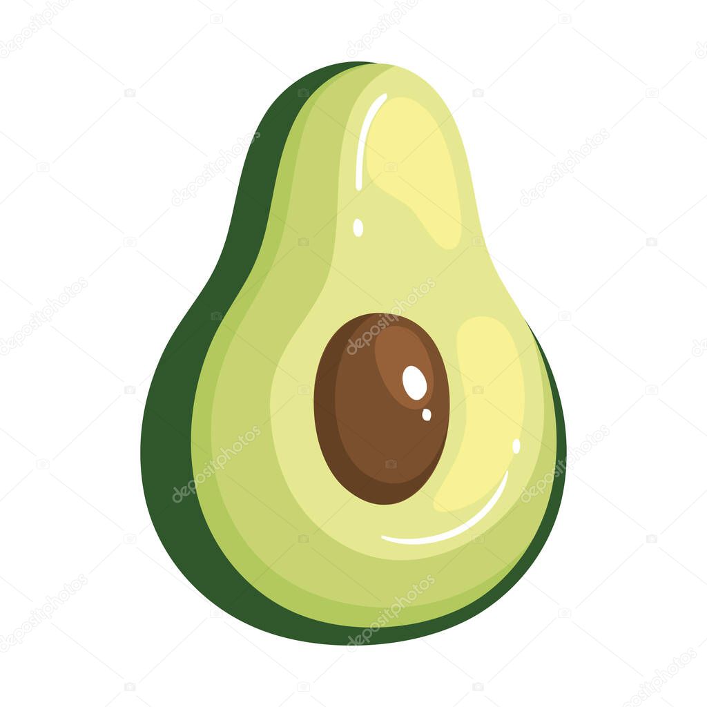 Isolated avocado fruit vector design