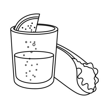 İzole Meksika dürümü ve tekila shot vektör tasarımı