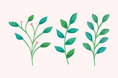 İzole edilmiş yapraklar vektör tasarımını belirler