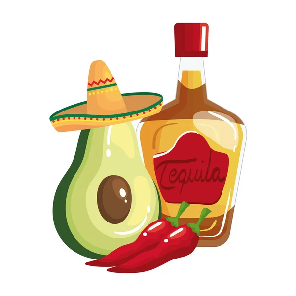 Изолированная мексиканская текила бутылка чили и векторный дизайн авокадо — стоковый вектор