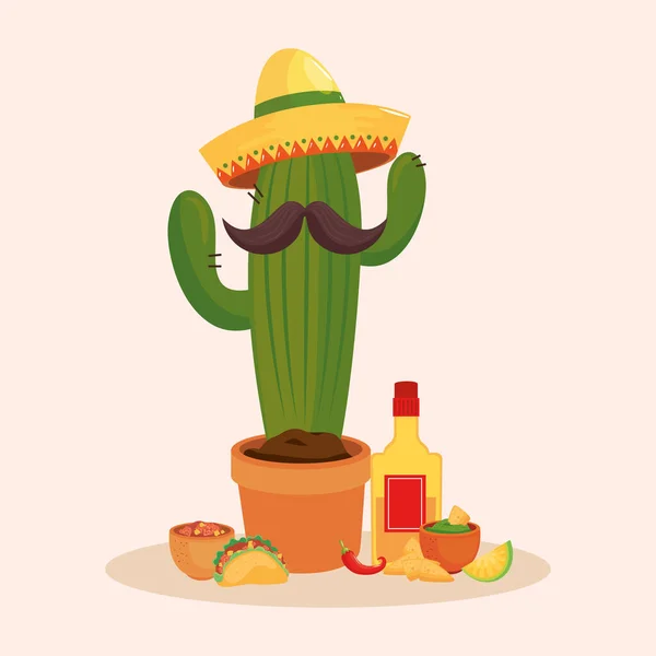 Mexican cactus with mustache hat and tequila bottle vector design — Stock Vector