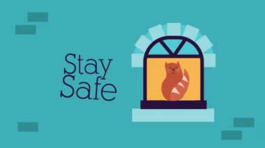 Kedi apartman penceresinde, kampanyada kal