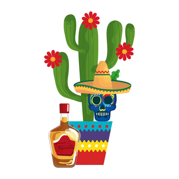 Butelka meksykańskiego kaktusa z tequilą i czaszką z wektorem kapelusza — Wektor stockowy