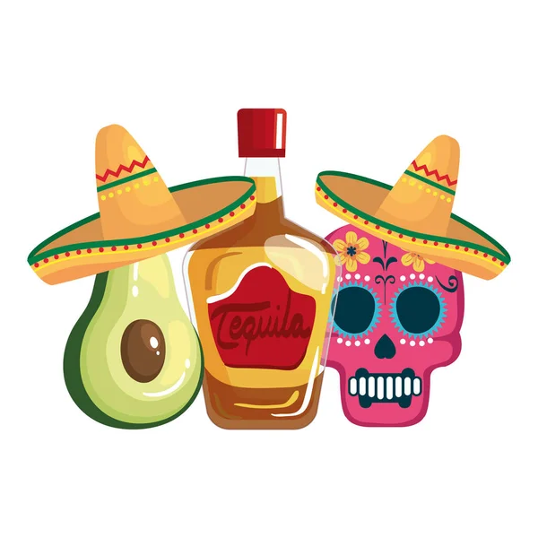 Isolerad mexikansk tequila avokado och skalle med hattar vektor design — Stock vektor