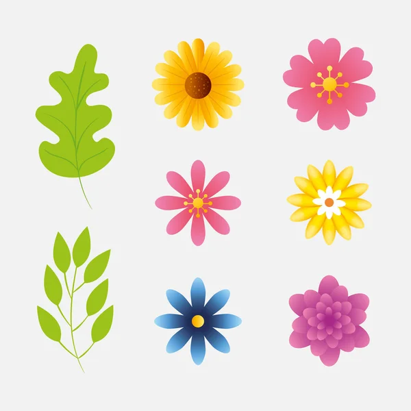 Conjunto de flores lindas con ramas y hojas naturales — Vector de stock