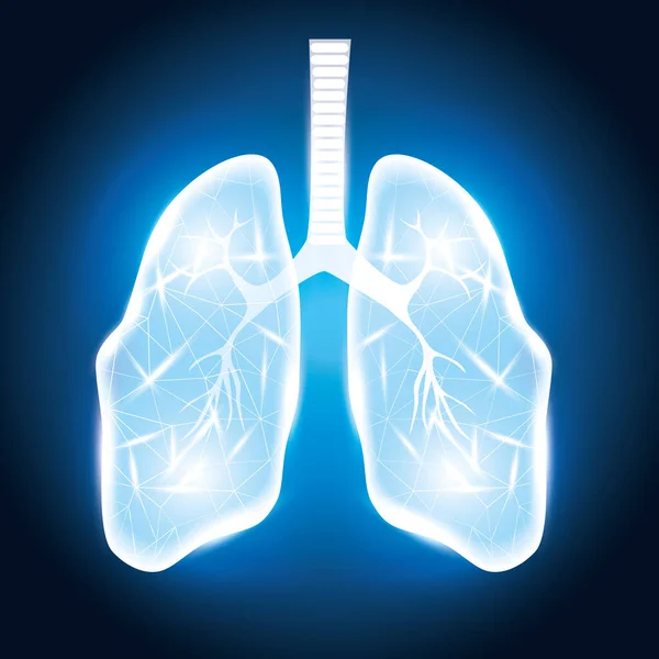 Organe pulmonaire humain en fond de campagne — Image vectorielle